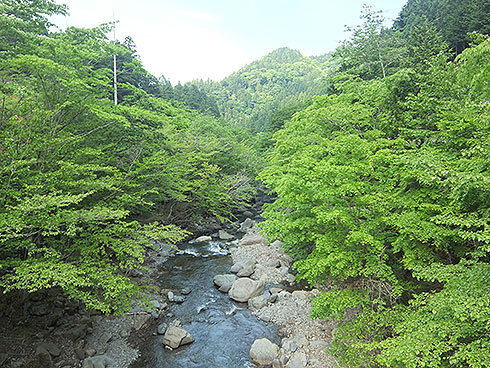 13-吊り橋-2.jpg