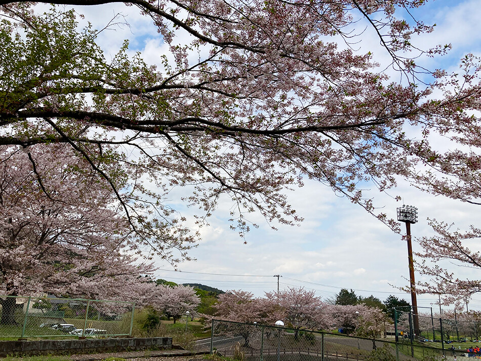 7毛呂山総合公園