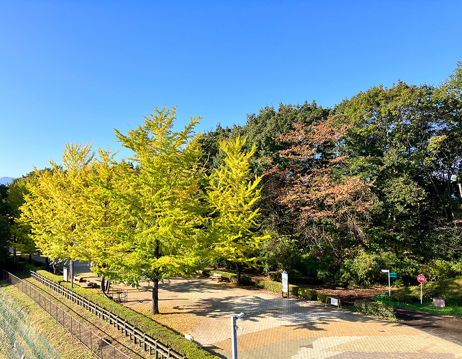 2ミューズパーク