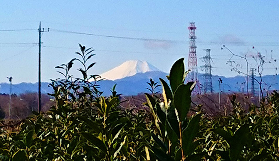 4富士山