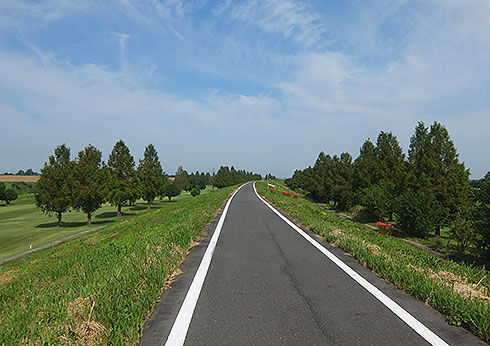 物見山からパン工房シロクマへ自転車で