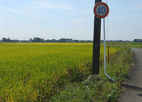 物見山からパン工房シロクマへ自転車で