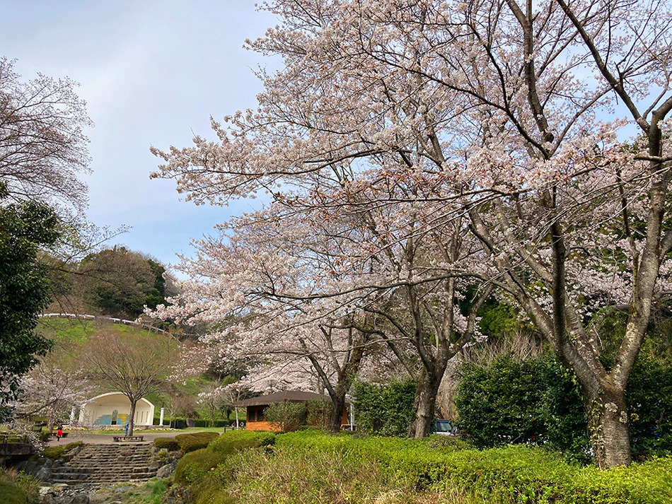 18雀川砂防ダム