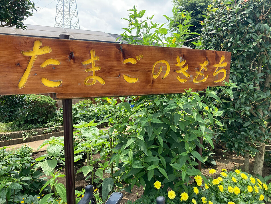 01たまごのきもち