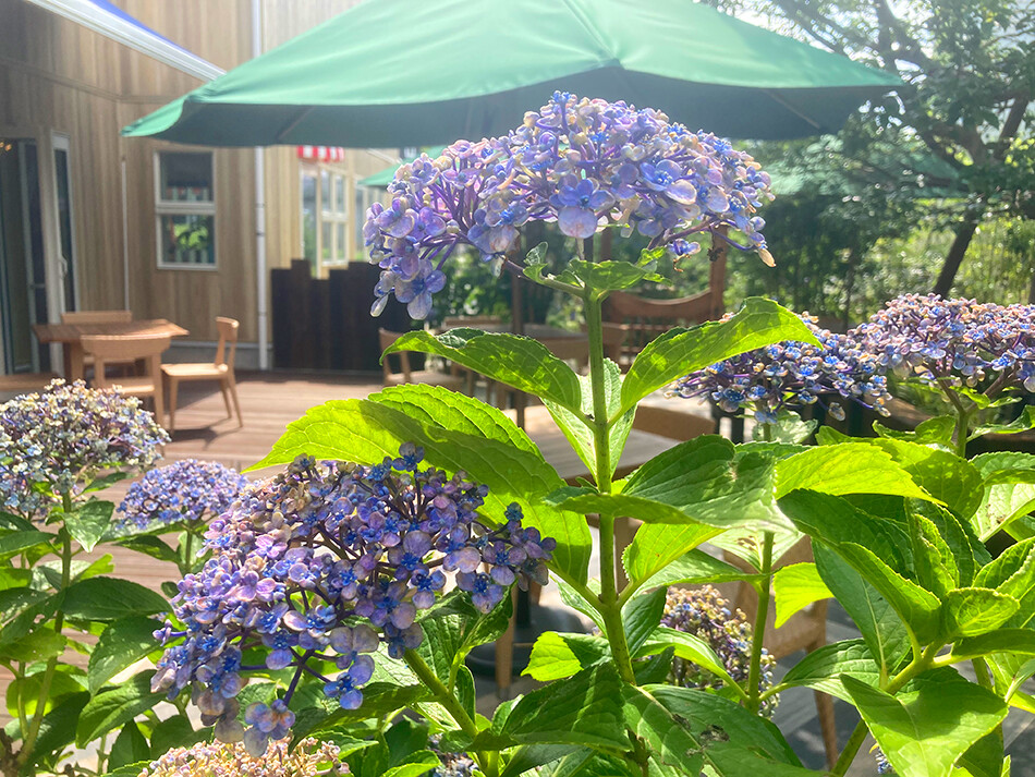 006レストランコンフェッティ