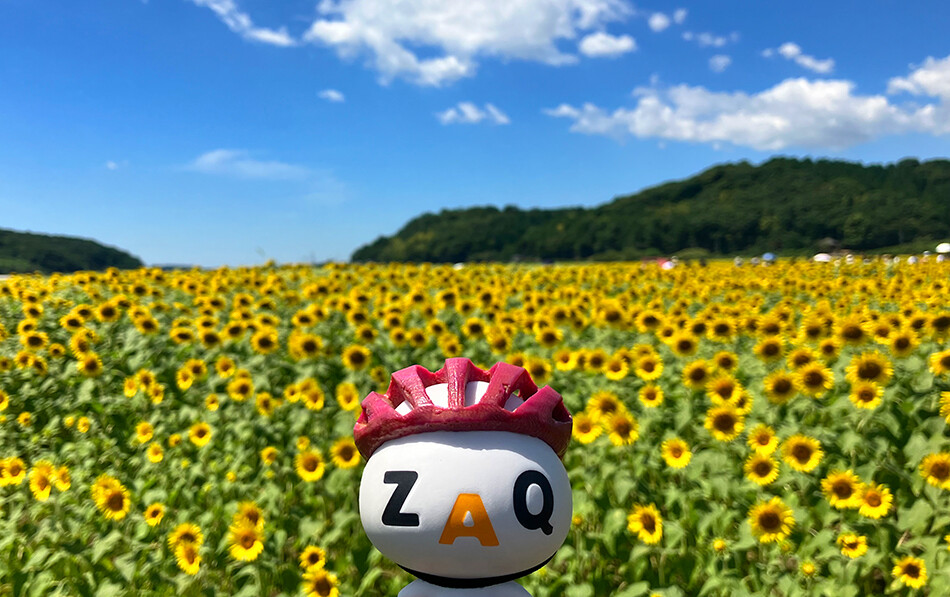 14益子ひまわり