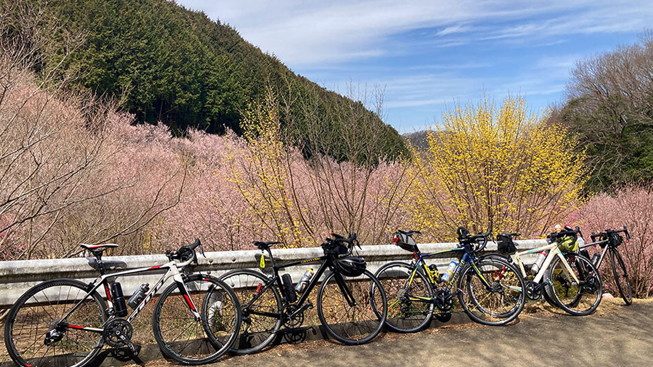 小川町の桃源郷