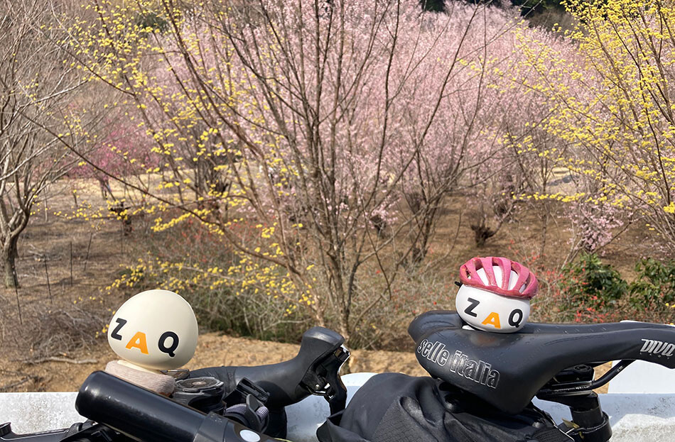 08小川町の桃源郷