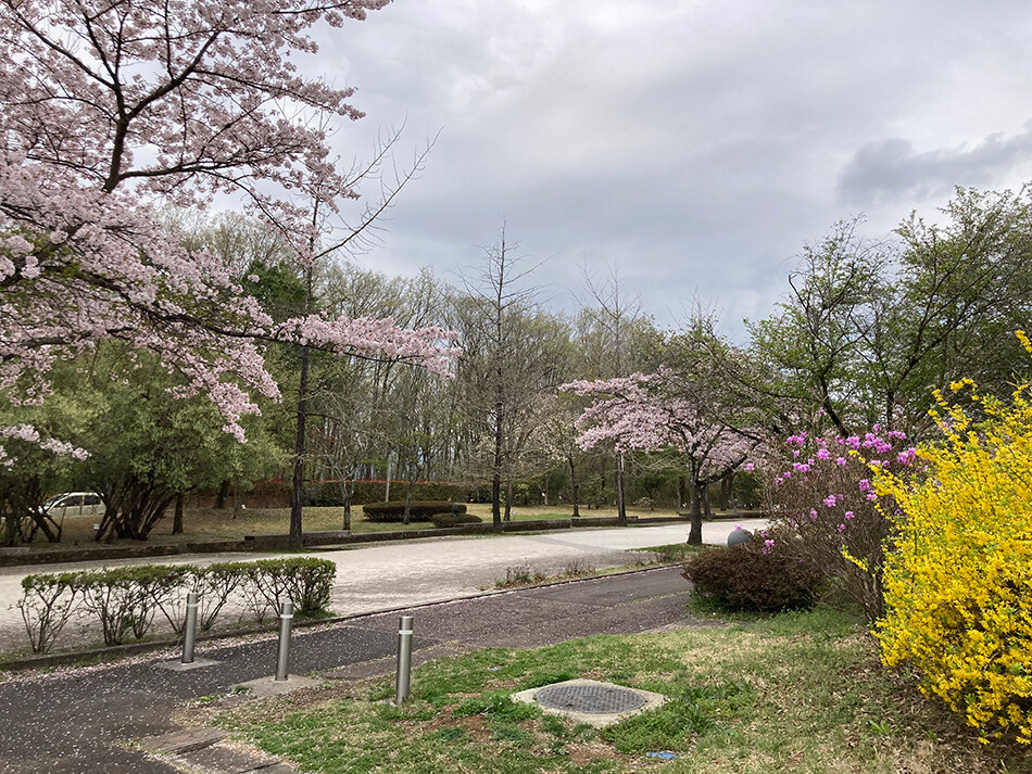 03ミューズパーク