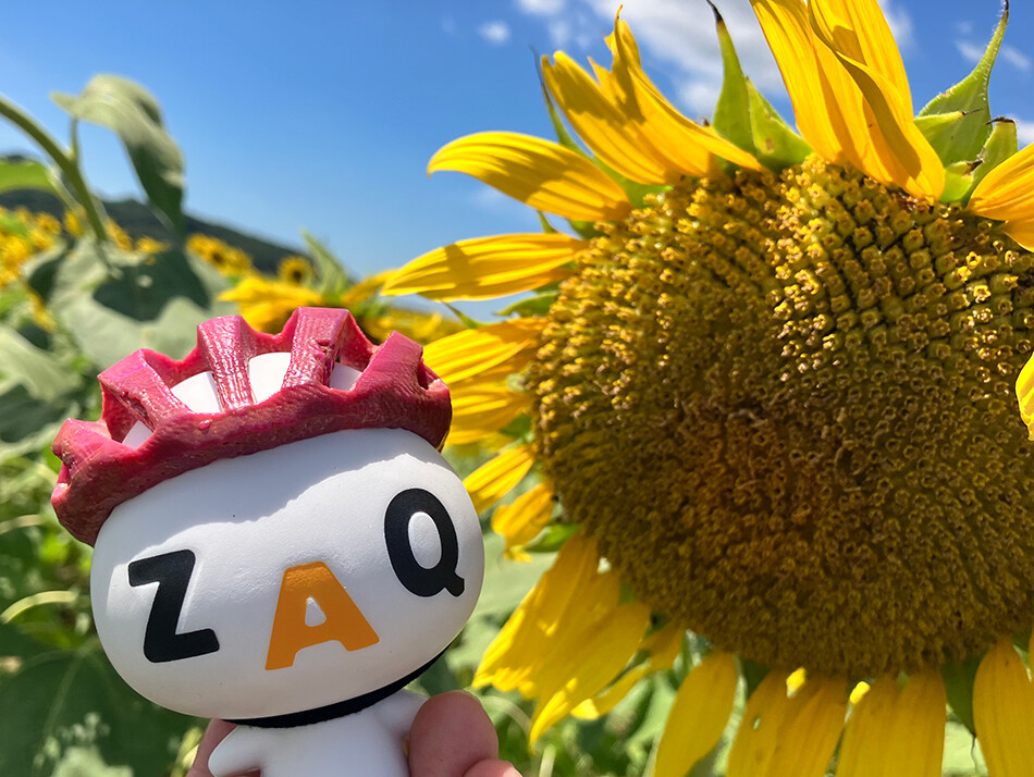 16益子ひまわり