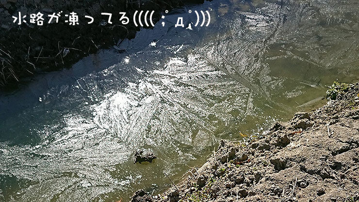 7凍った水路.jpg