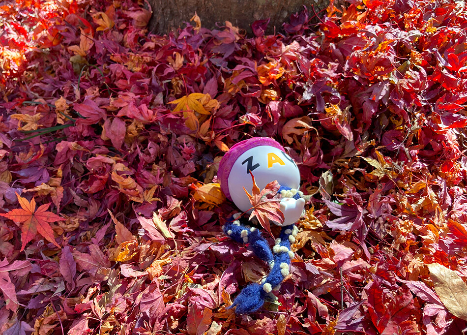 17紅葉とざっくぅ