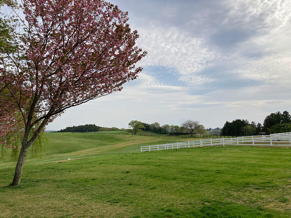 33那須ファームビレッジ