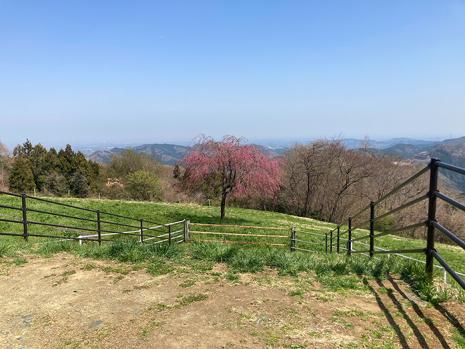 12秩父高原牧場