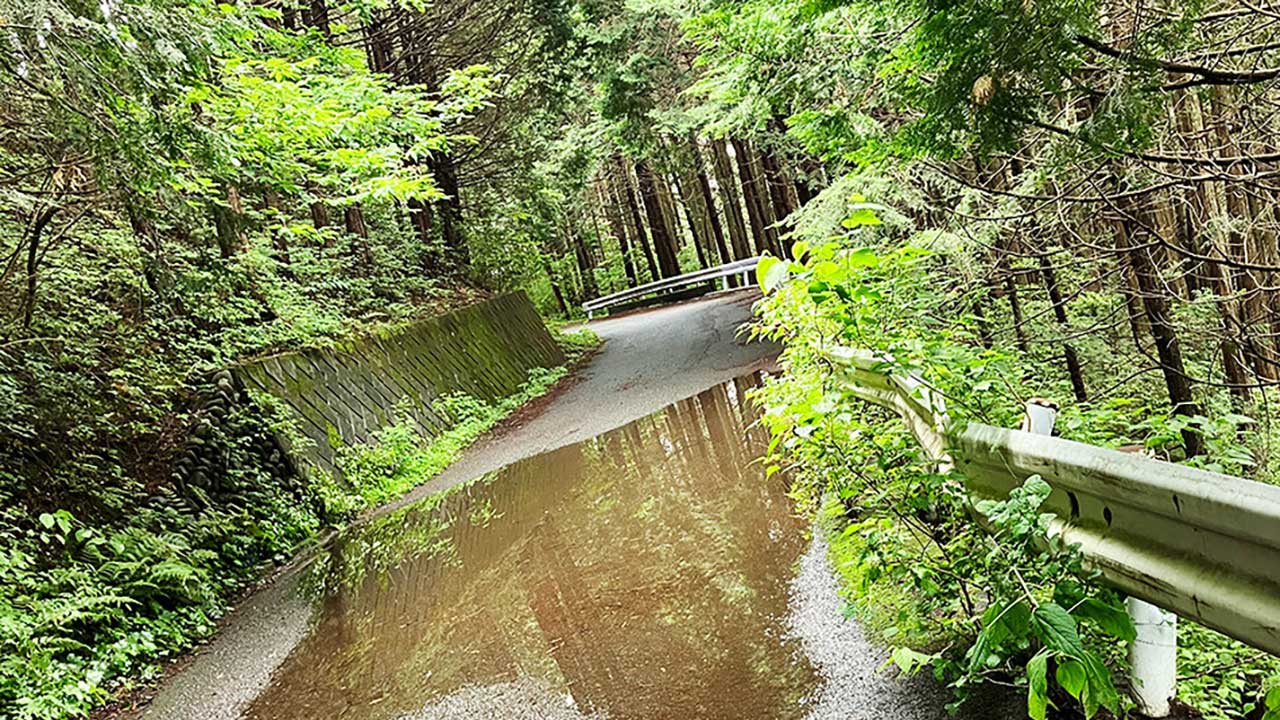 奥武蔵グリーンライン