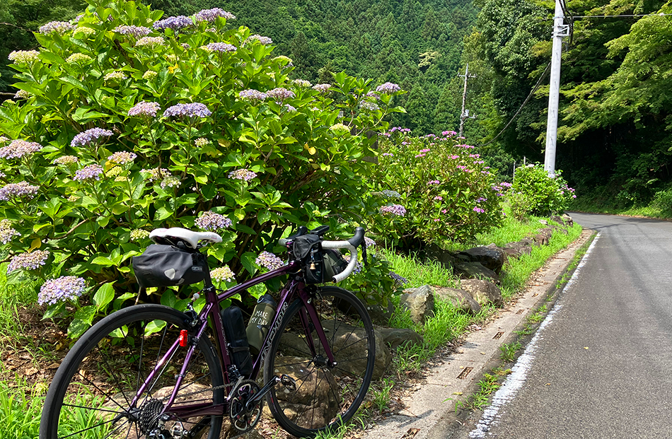 10あじさい街道