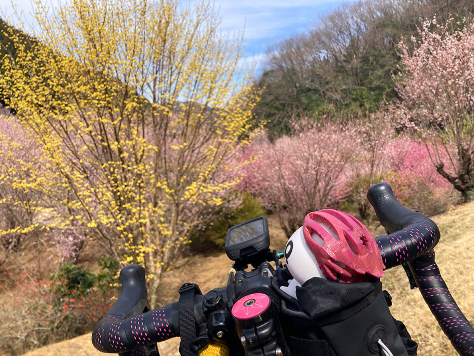 07小川町の桃源郷