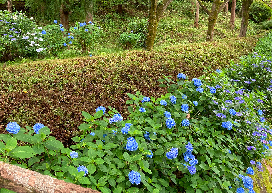 03雀川砂防ダム公園