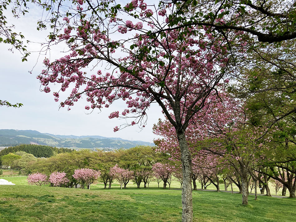 34那須ファームビレッジ