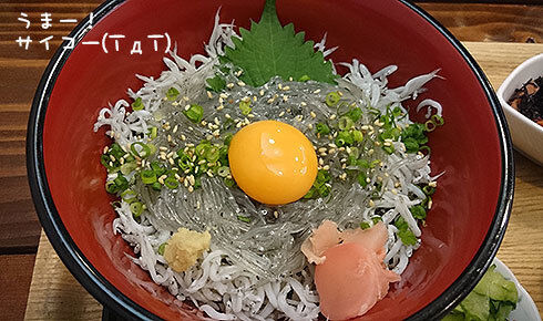 5しらす丼.jpg