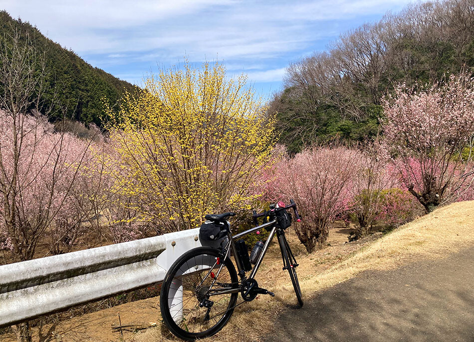 06小川町の桃源郷