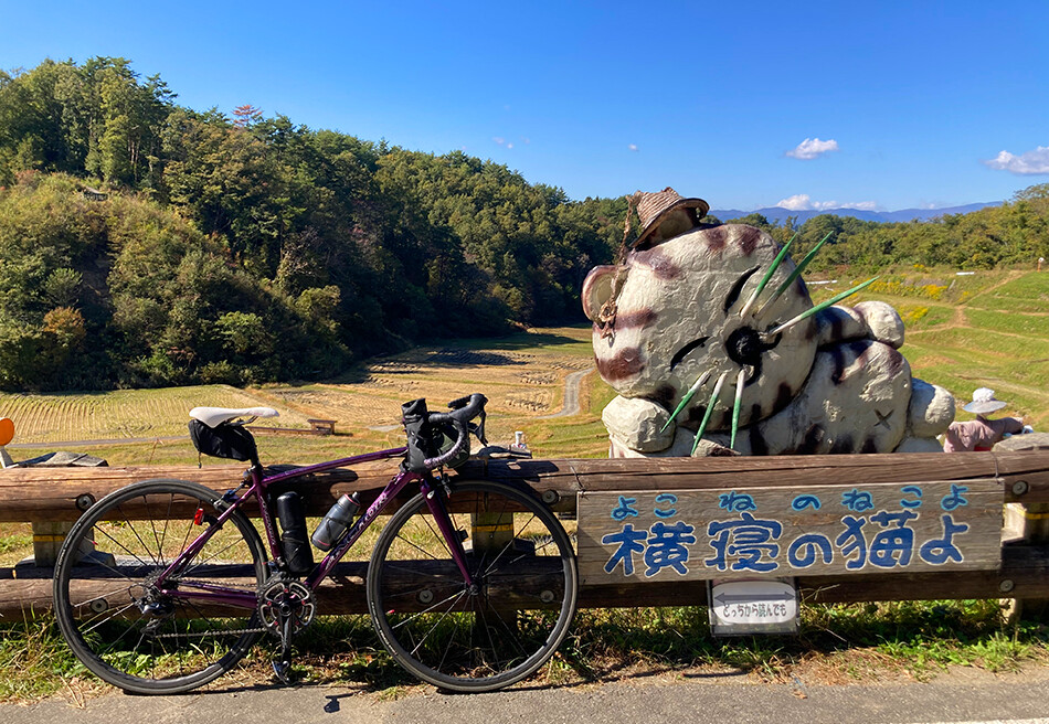 ロードバイク,自転車,天龍峡,飯田市,よこね田んぼ