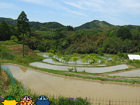 南房総サイクリング