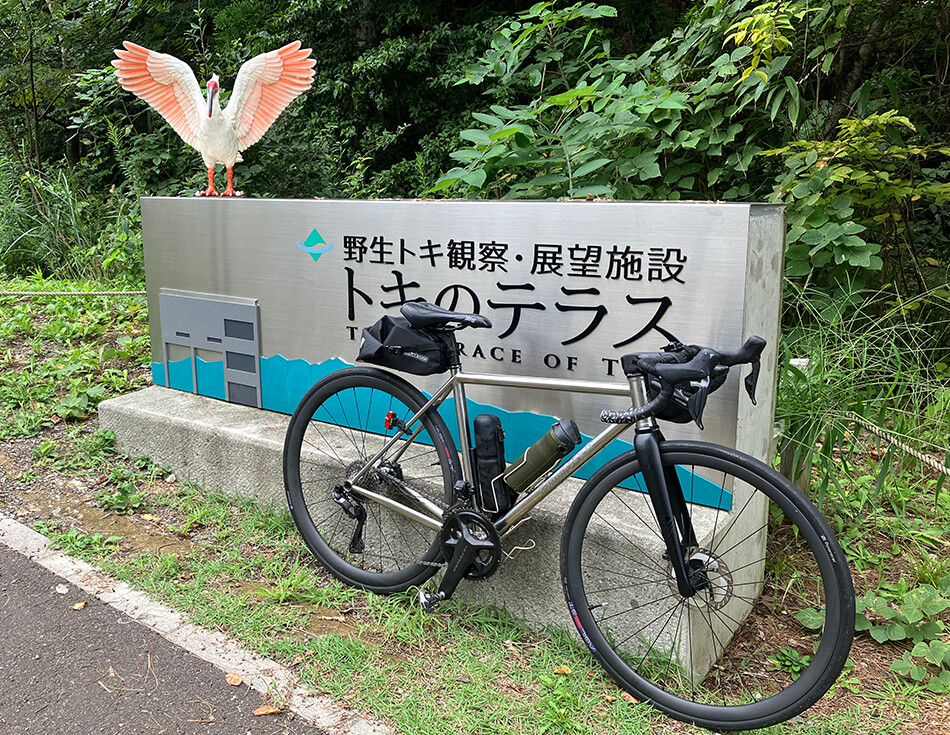 佐渡,佐渡島,ロードバイク,自転車,トキのテラス