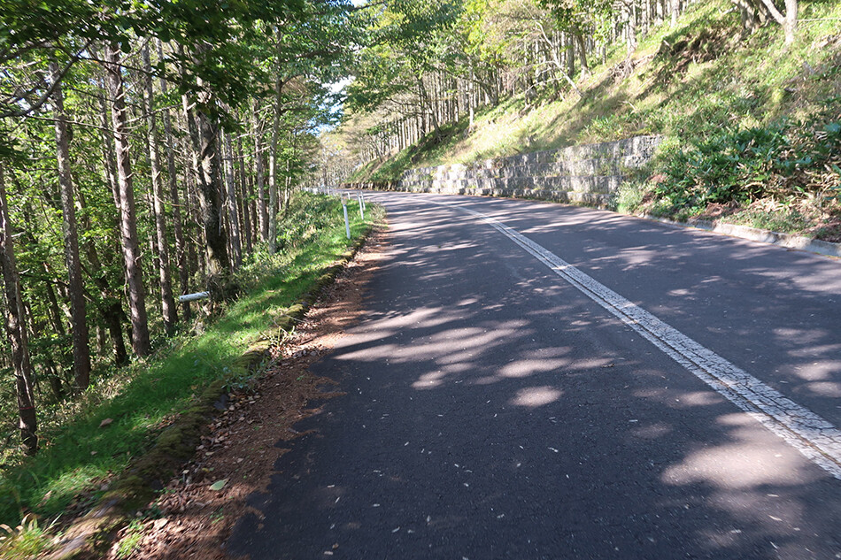 自転車,ロードバイク,ビーナスライン,大河原峠