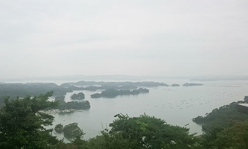 9雨の松島.jpg
