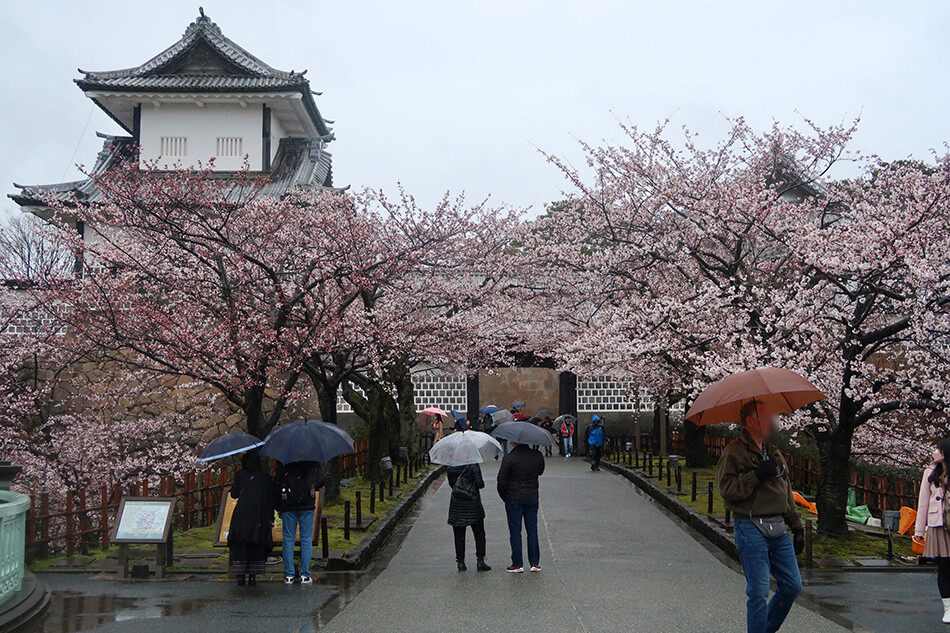 10金沢城址公園