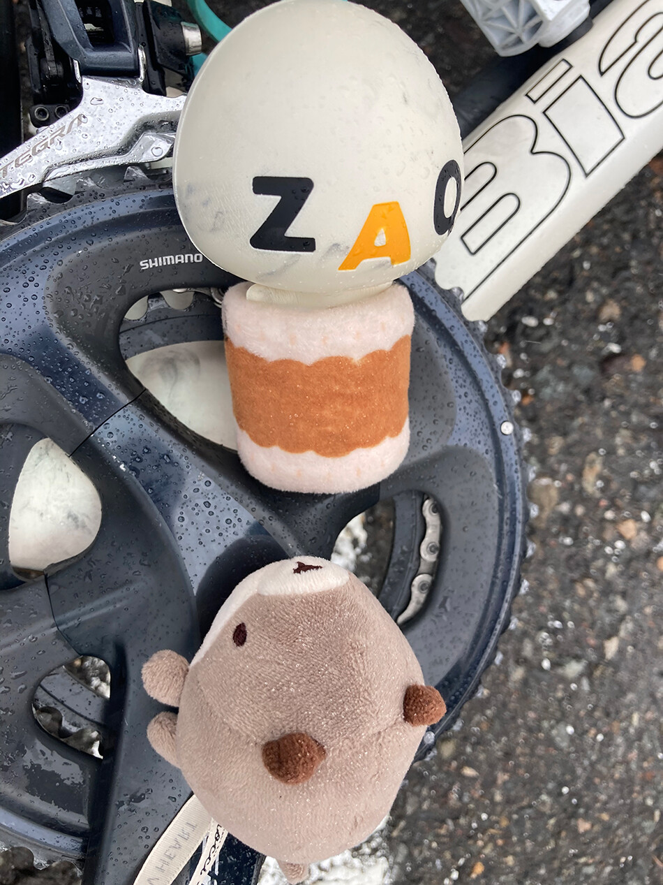 渋峠,ロードバイク,自転車,ざっくぅ