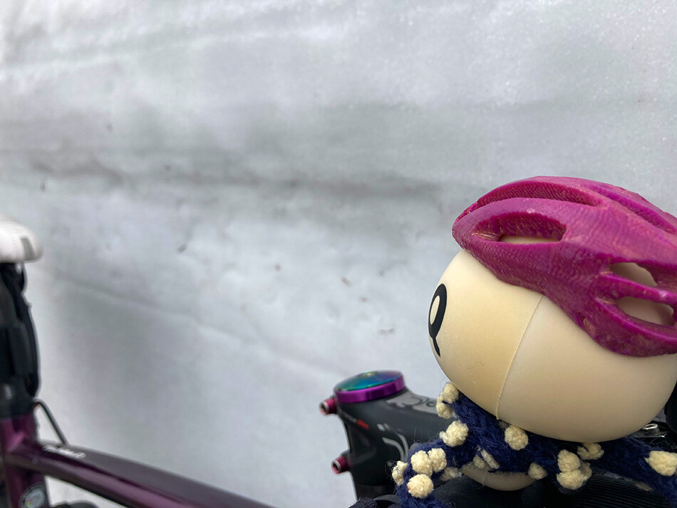 渋峠,ロードバイク,雪の回廊,自転車