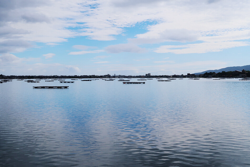 佐渡,佐渡島,ロードバイク,自転車,加茂湖