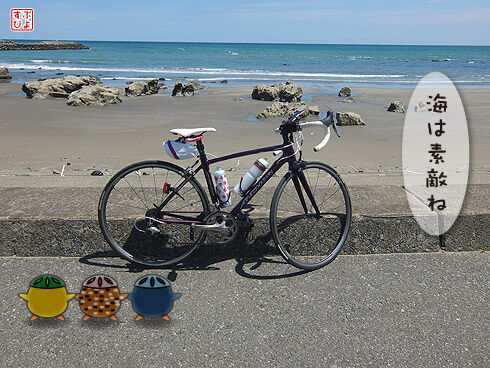 南房総サイクリング