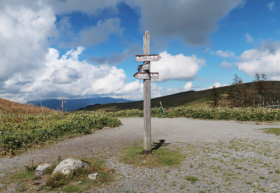 自転車,ロードバイク,ビーナスライン,霧ヶ峰湿原