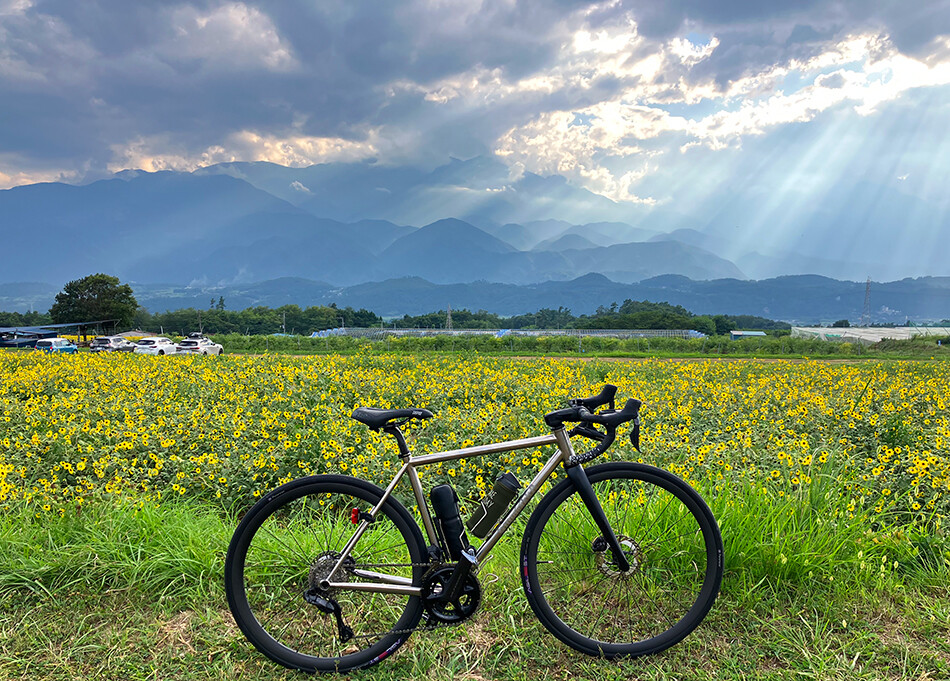 30明野のひまわり