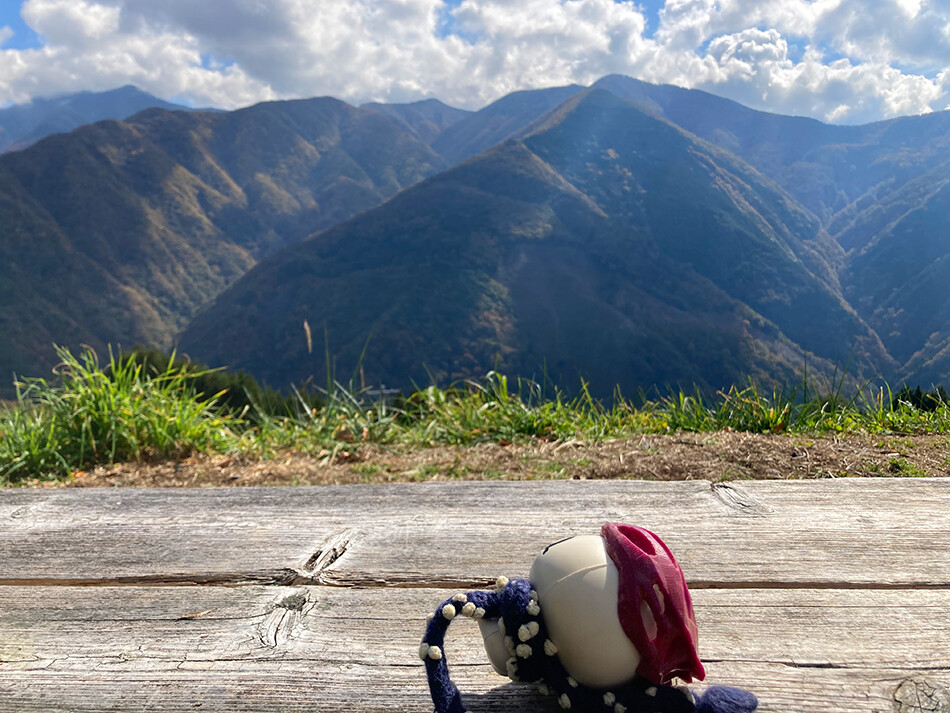 しらびそチャレンジ,ロードバイク,自転車,下栗,下栗の里,しらびそ,ざっくぅ