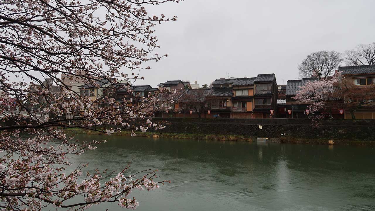 桜シーズンの金沢