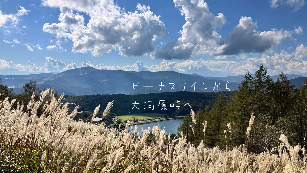 ビーナスライン