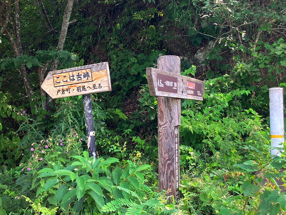 聖高原,自転車,ロードバイク,古峠