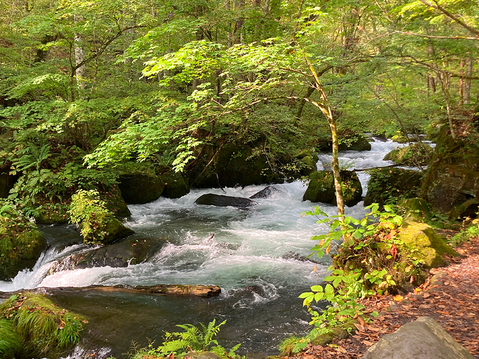 09阿修羅の流れ