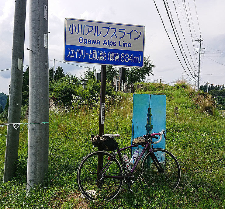 12小川アルプスライン.jpg