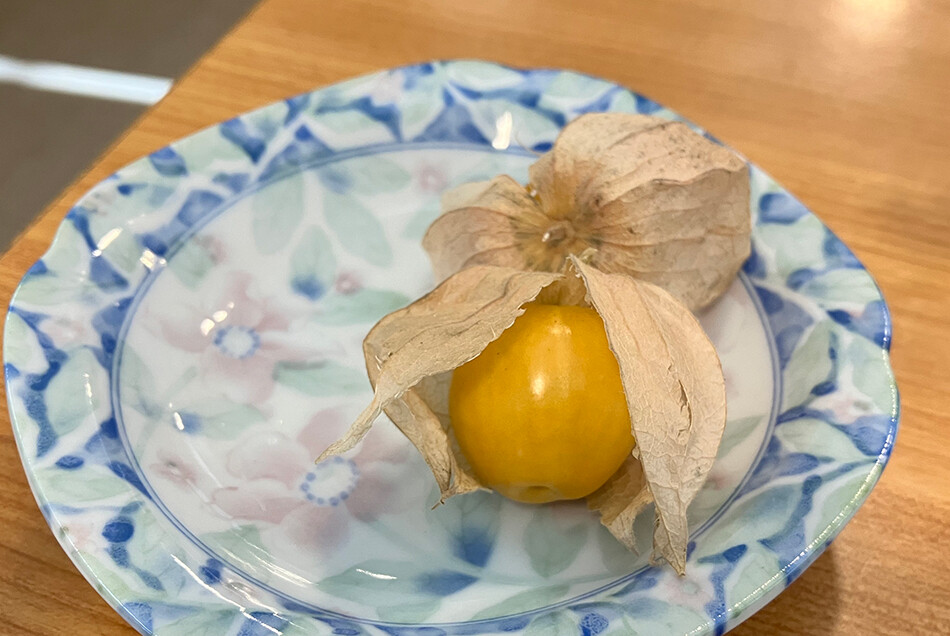 13みずがき食事処