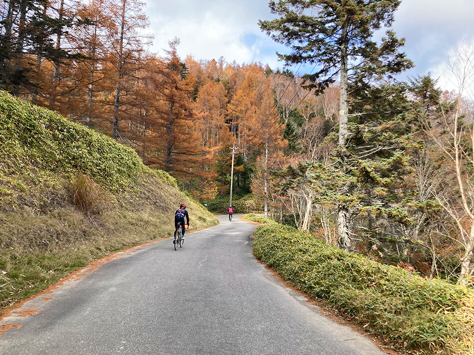しらびそチャレンジ,ロードバイク,自転車,下栗,下栗の里,しらびそ