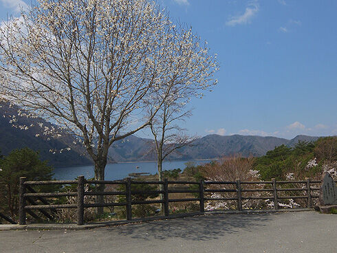 富士五湖サイクリング