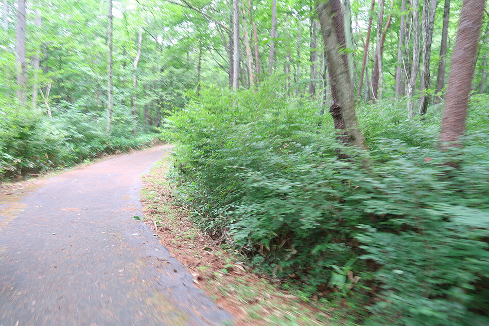 15八ヶ岳公園サイクリングロード