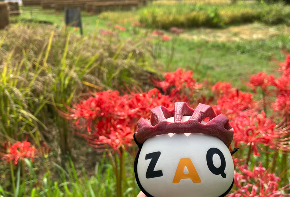 寺坂棚田の彼岸花,ざっくぅ