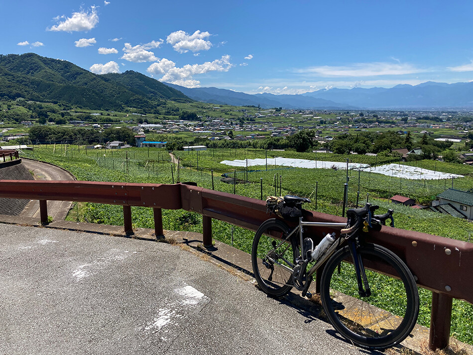 19フルーツライン