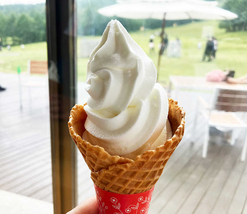 25サンメドウズ